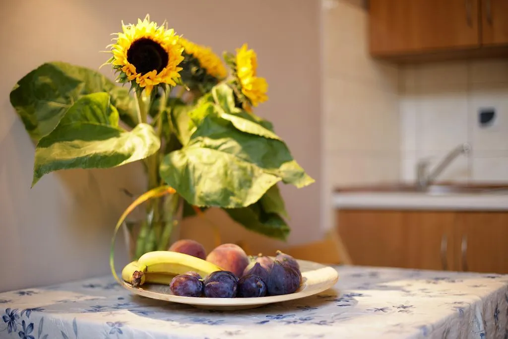 Apartamento Krakow Townhouse Polonia
